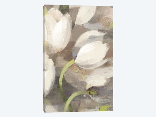 Tulip Delight II