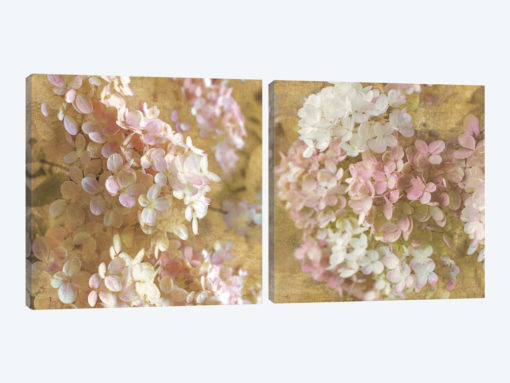 Gilded Hydrangea Diptych