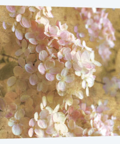 Gilded Hydrangea I