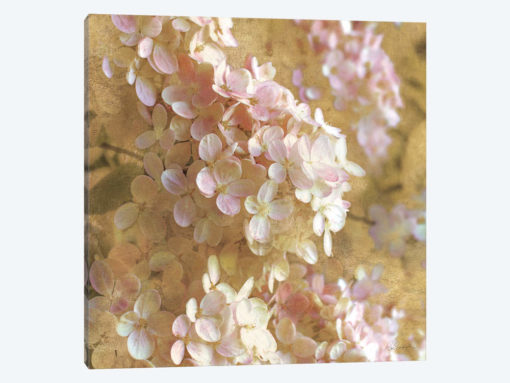 Gilded Hydrangea I