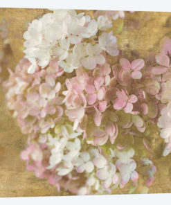 Gilded Hydrangea II