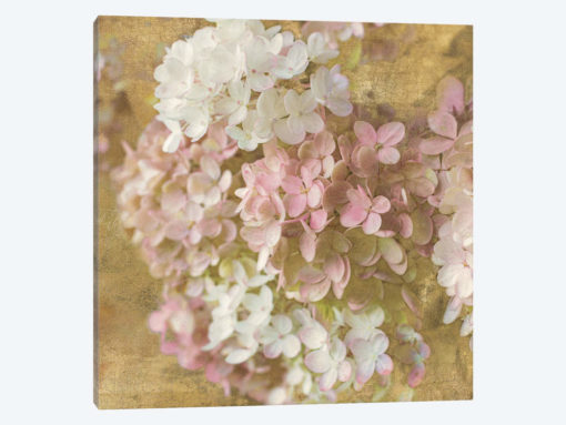Gilded Hydrangea II