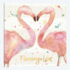 Flamingo Fever II