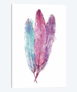 Bohemian Feather I