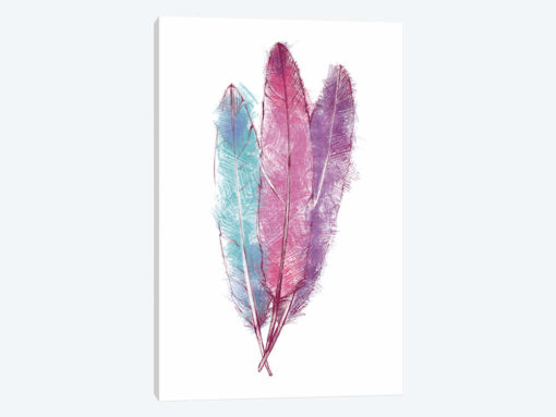 Bohemian Feather I
