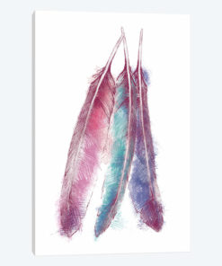 Bohemian Feather V
