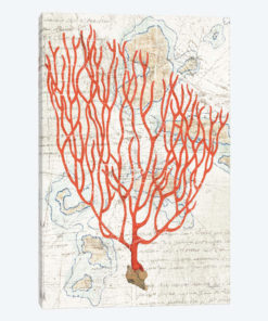 Textured Coral IV