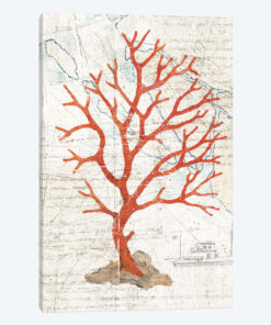 Textured Coral IV