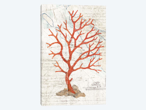 Textured Coral IV