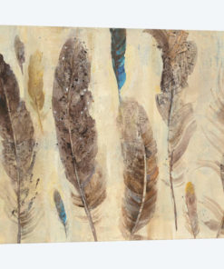 Feather Study