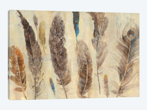 Feather Study