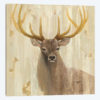 Forest King