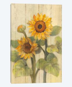 Summer Sunflowers II