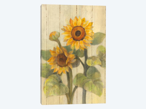 Summer Sunflowers II