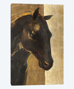 Trojan Horse I.A