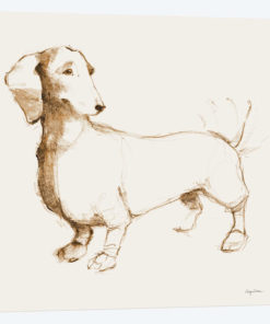 Clio's Outline
