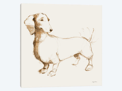 Clio's Outline