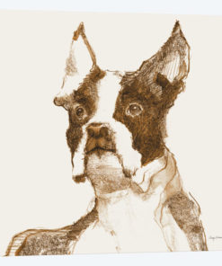 Ulysses' Outline
