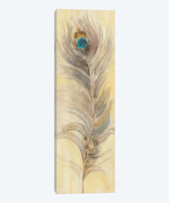Blue Eyed Feathers II