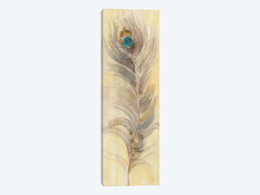 Blue Eyed Feathers II