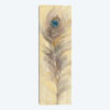 Blue Eyed Feathers III