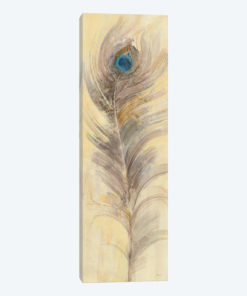Blue Eyed Feathers III