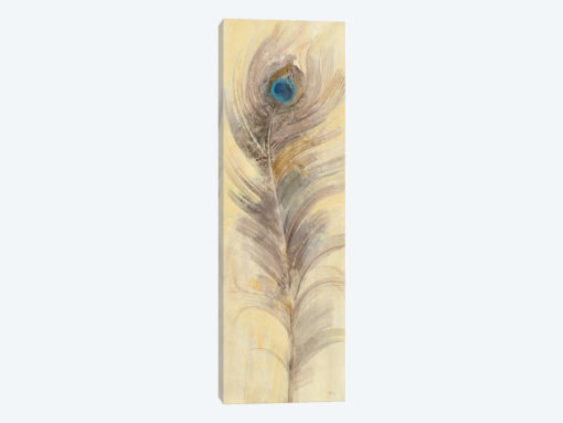 Blue Eyed Feathers III