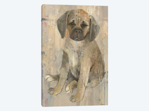 Paco