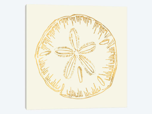 Coastal Breeze Shell Sketches IV