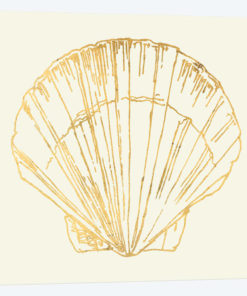Coastal Breeze Shell Sketches V