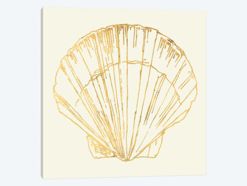 Coastal Breeze Shell Sketches V