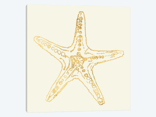 Coastal Breeze Shell Sketches VI