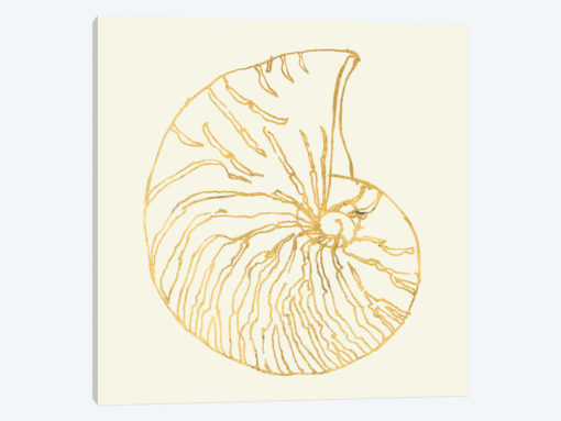 Coastal Breeze Shell Sketches VII