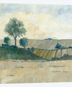Fields Before The Storm