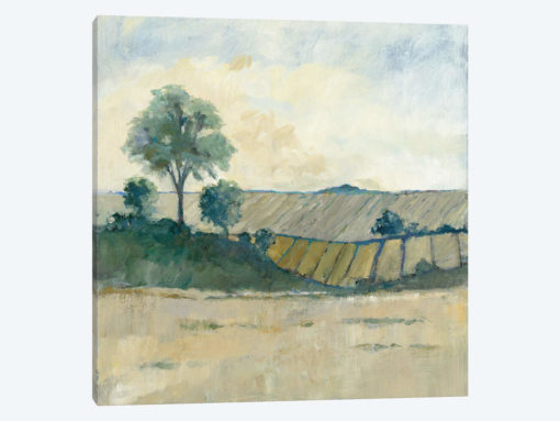Fields Before The Storm