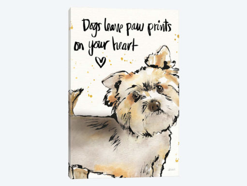 Strike A Paws VI