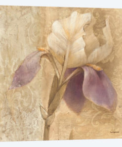 Brocade Iris