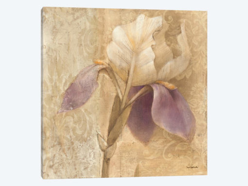Brocade Iris