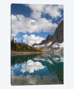 Floe Lake Reflection I