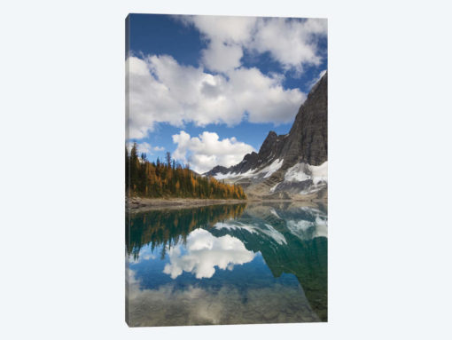 Floe Lake Reflection I