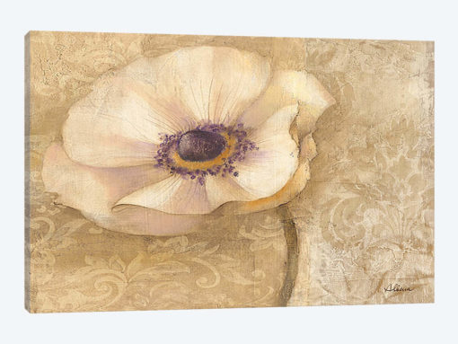 Brocade Poppy