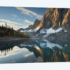Floe Lake Reflection III