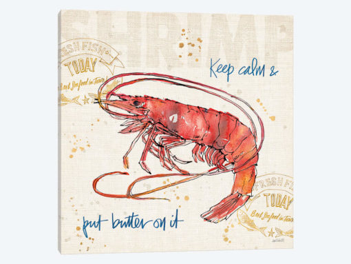 Coastal Catch IV