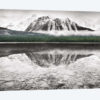 Waterfowl Lake I