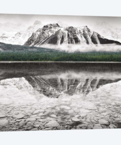 Waterfowl Lake I