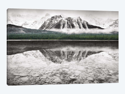 Waterfowl Lake I
