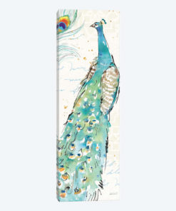 Peacock Garden III