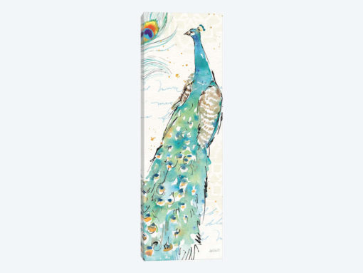 Peacock Garden III