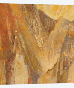 Canyon III.A