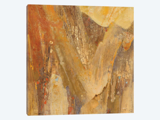 Canyon III.A